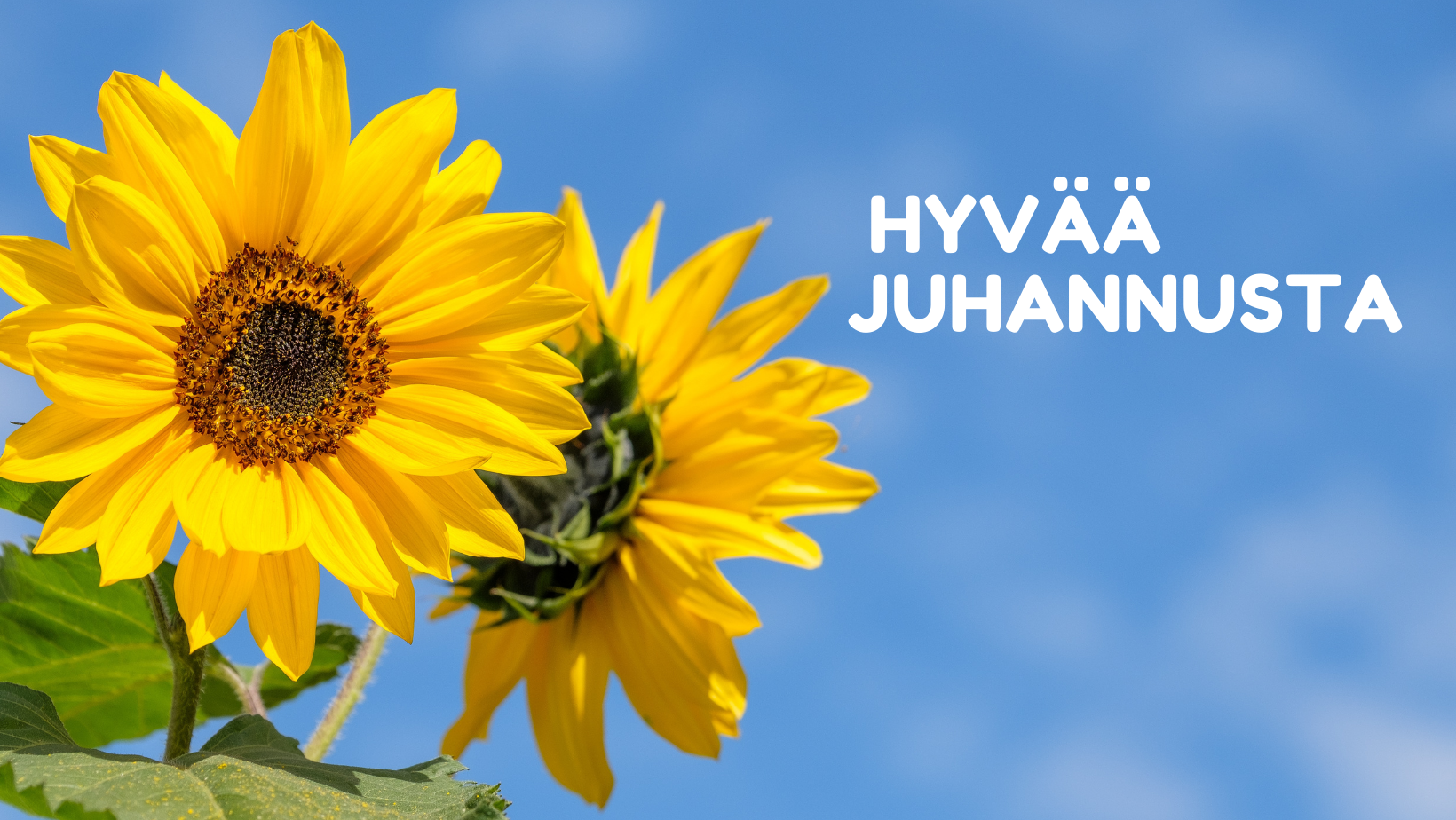 Juhannus2022-1